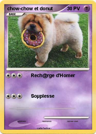 Pokemon chow-chow et donut