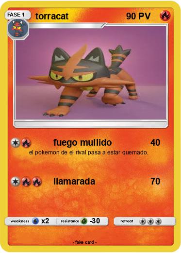 Pokemon torracat