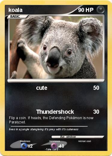 Pokemon koala