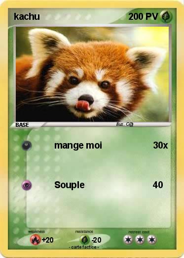 Pokemon kachu