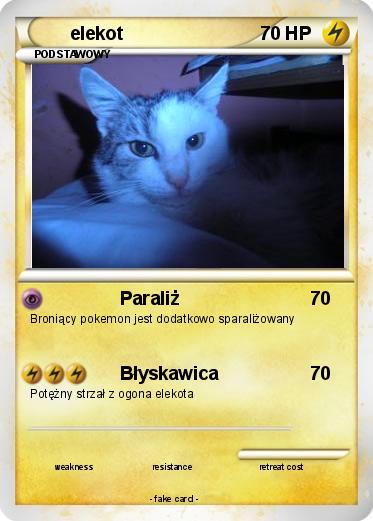 Pokemon elekot