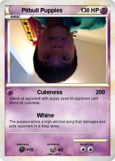 Pokemon Pitbull Puppies