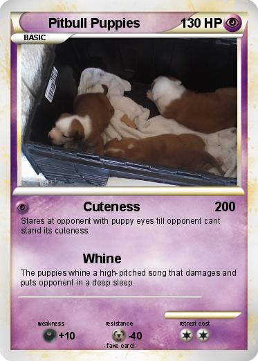 Pokemon Pitbull Puppies