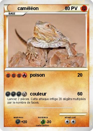 Pokemon caméléon