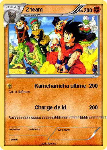Pokemon Z team