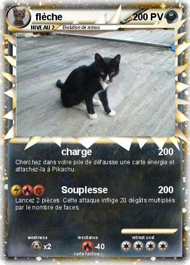 Pokemon flèche