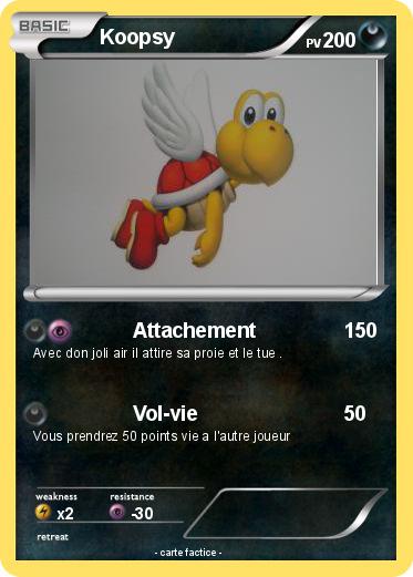 Pokemon Koopsy