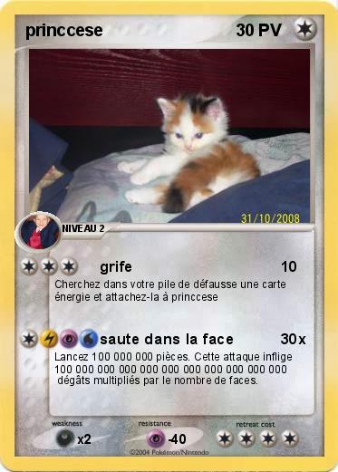 Pokemon princcese