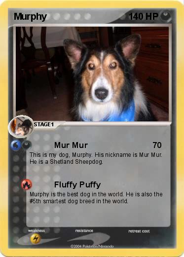 Pokemon Murphy