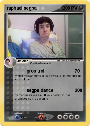 Pokemon raphael segpa
