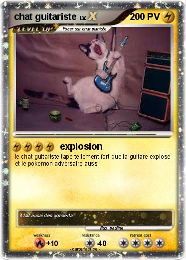 Pokemon chat guitariste