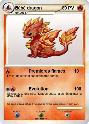 Pokemon Bébé dragon