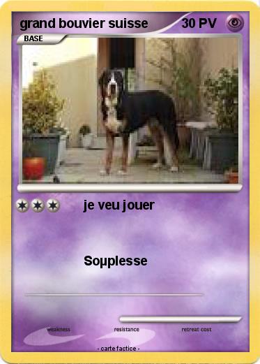 Pokemon grand bouvier suisse