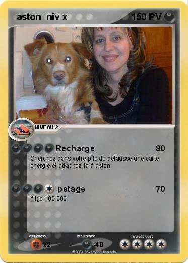 Pokemon  aston  niv x                    
