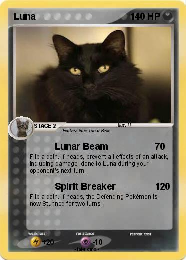 Pokemon Luna