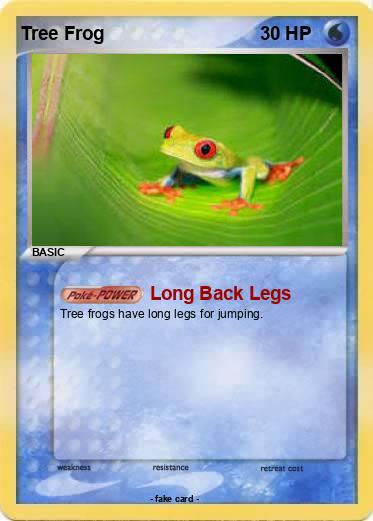 Pokemon Tree Frog