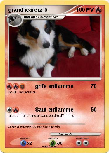 Pokemon grand icare