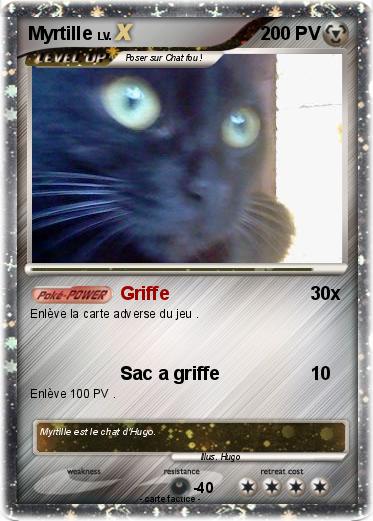 Pokemon Myrtille