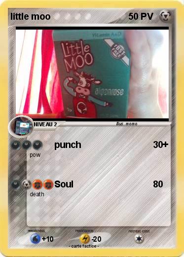 Pokemon little moo