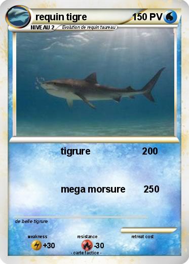 Pokemon requin tigre
