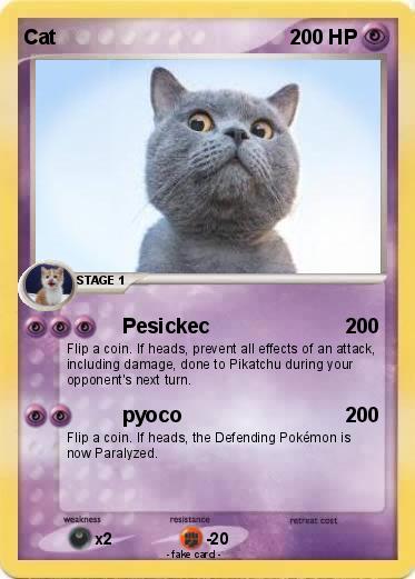 Pokemon Cat