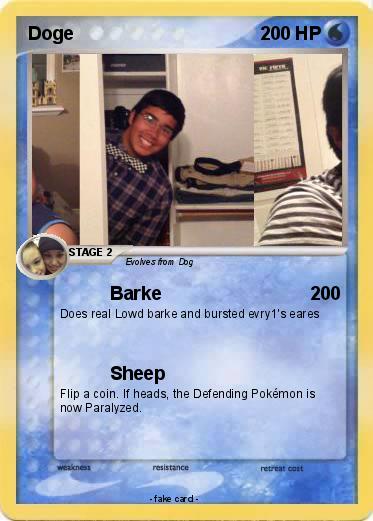 Pokemon Doge