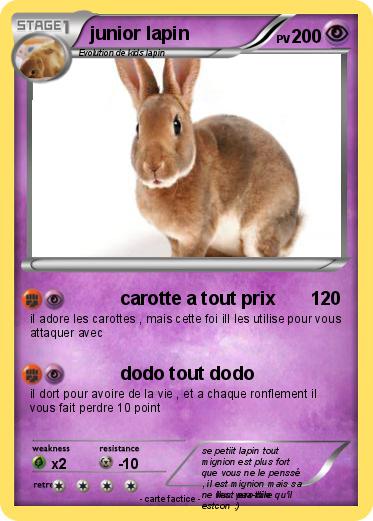 Pokemon junior lapin