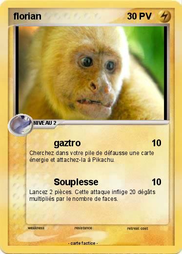 Pokemon florian