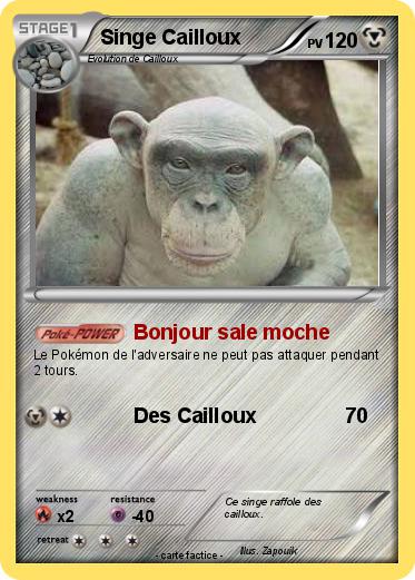 Pokemon Singe Cailloux