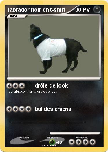Pokemon labrador noir en t-shirt