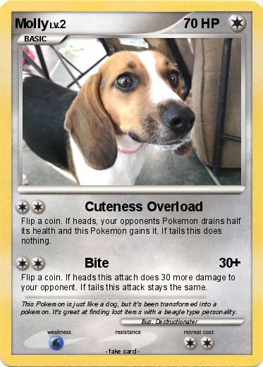 Pokemon Molly