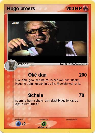 Pokemon Hugo broers