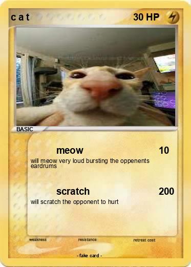 Pokemon c a t