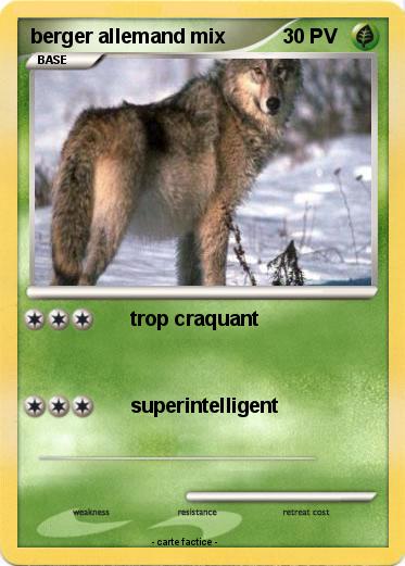 Pokemon berger allemand mix