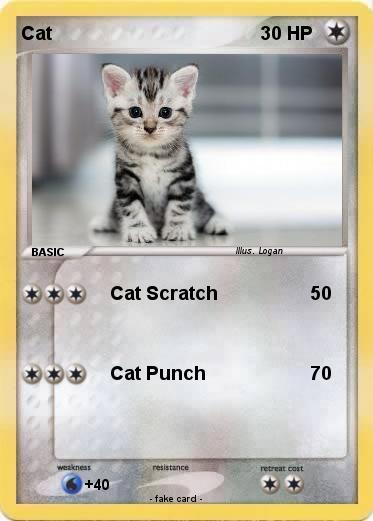 Pokemon Cat