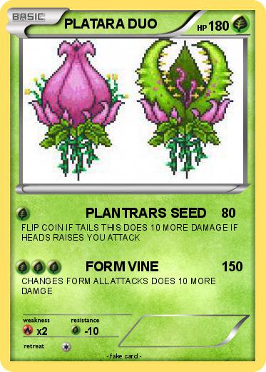 Pokemon PLATARA DUO