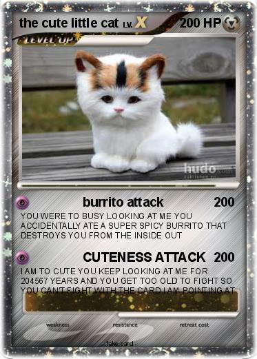 Pokemon the cute little cat
