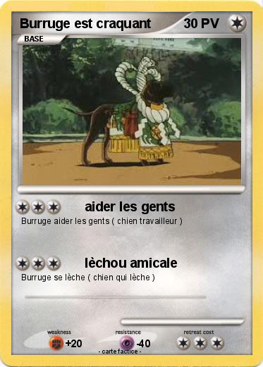 Pokemon Burruge est craquant