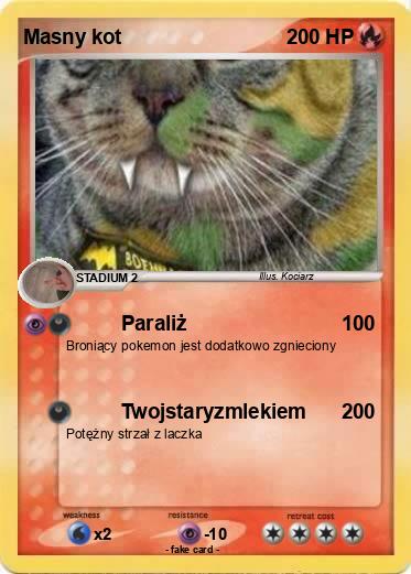 Pokemon Masny kot