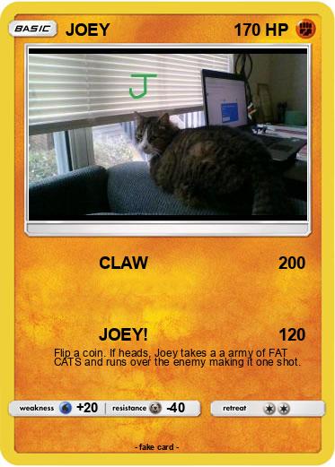 Pokemon JOEY