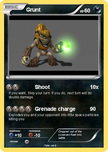 Pokemon Grunt