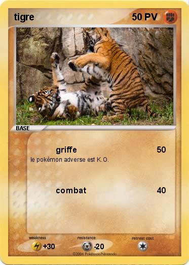 Pokemon tigre