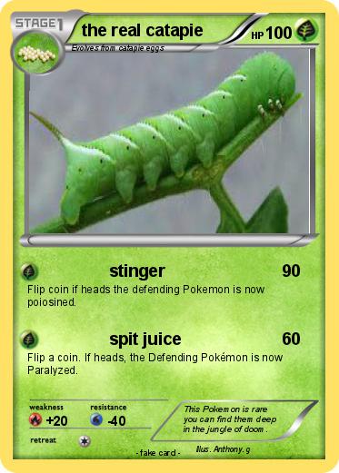 Pokemon the real catapie