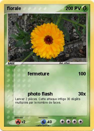 Pokemon florale