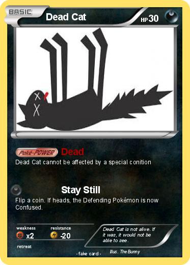 Pokemon Dead Cat