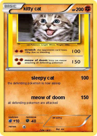 Pokemon kitty cat