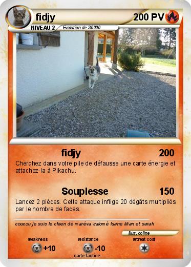 Pokemon fidjy