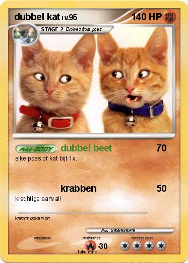 Pokemon dubbel kat