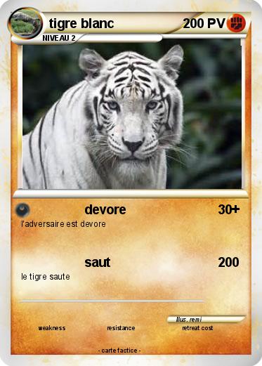 Pokemon tigre blanc