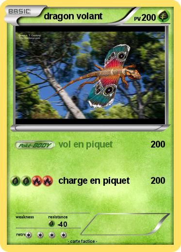 Pokemon dragon volant